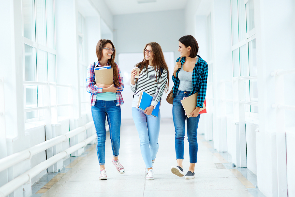 Read more about the article Equipment for the 16th Olympiad